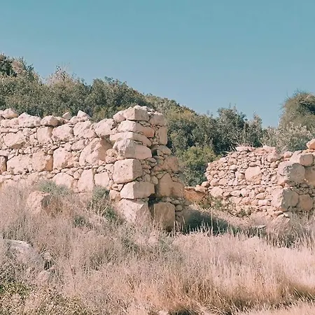 דירה Thalassa Big *